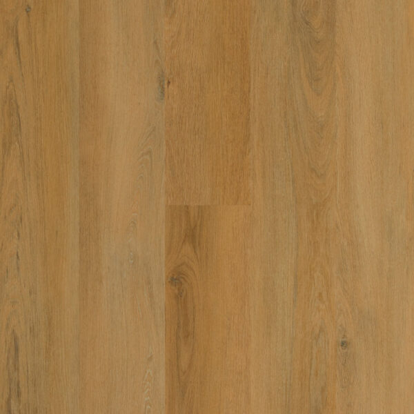 Galaxy Line - Orion Silence Elite - BOSQUE BERMEJO