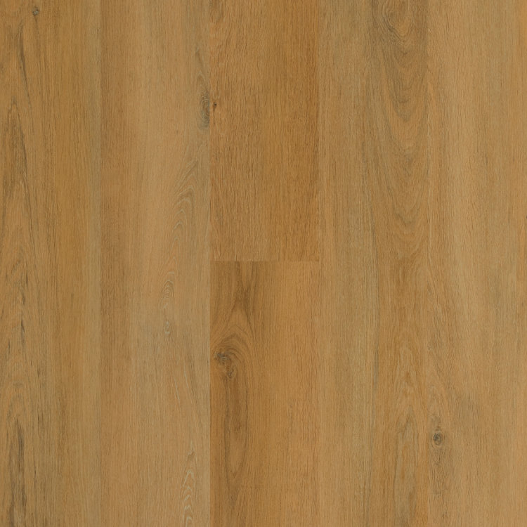 Galaxy Line - Orion Silence Elite - BOSQUE BERMEJO
