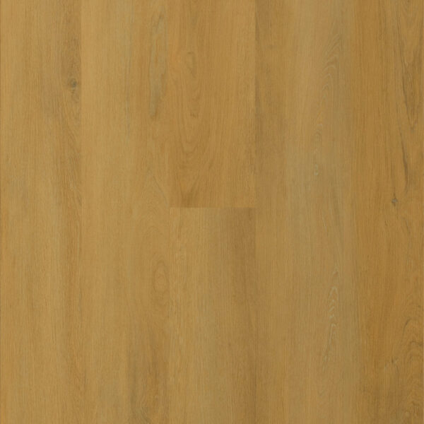 Galaxy Line - Orion Silence Elite - ROBLE AMBAR