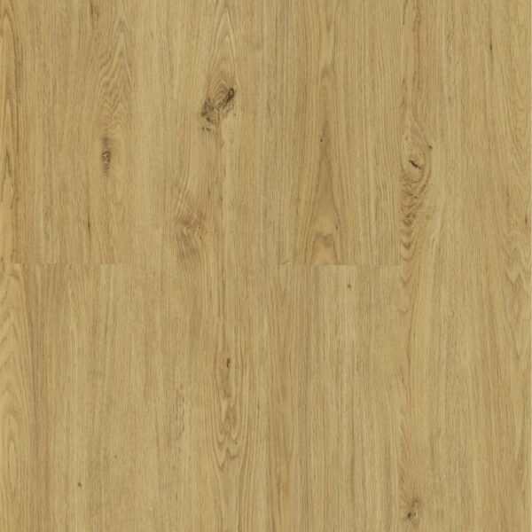 Galaxy Line - Orion Silence Wide - NATURAL