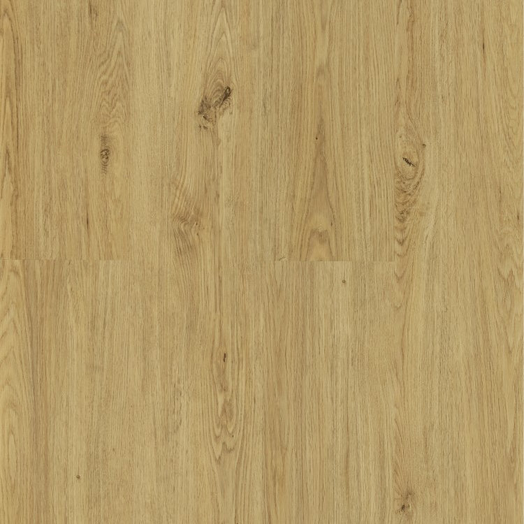 Galaxy Line - Orion Silence Wide - NATURAL