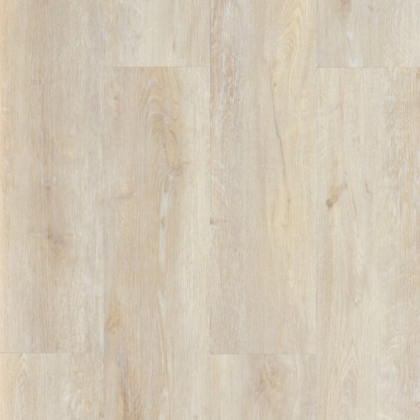 Galaxy Line - Orion Silence XL - CREAM
