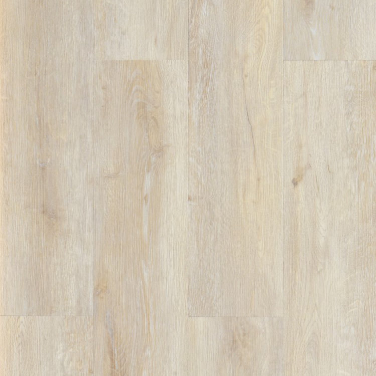 Galaxy Line - Orion Silence XL - CREAM