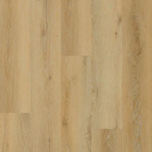 Galaxy Line - Serie Orion Large BRIGHT