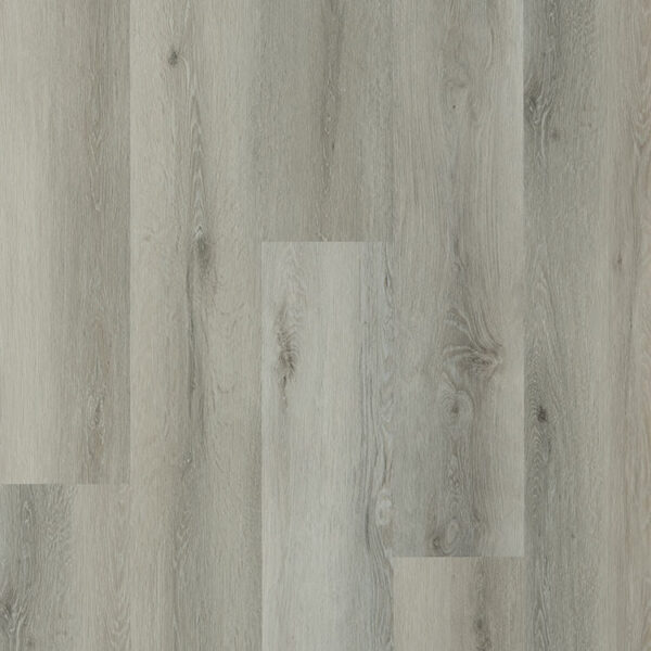Galaxy Line - Serie Orion Large NITRARIA