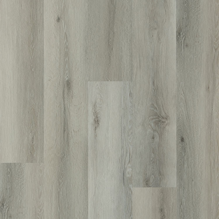 Galaxy Line - Serie Orion Large NITRARIA