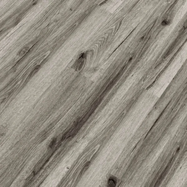 Republic - Tiger REASCT010 - BROKE