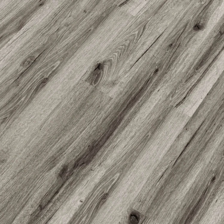 Republic - Tiger REASCT010 - BROKE