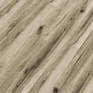 Republic - Tiger REASCT009 - GRAND
