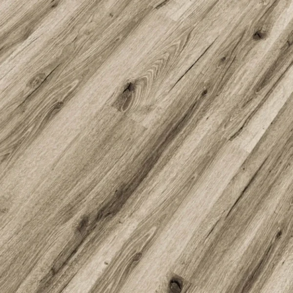 Republic - Tiger REASCT009 - GRAND