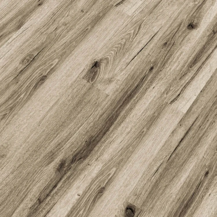 Republic - Tiger REASCT009 - GRAND