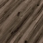 Republic - Tiger REASCT008 - QUEST