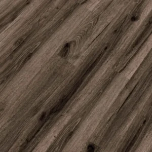 Republic - Tiger REASCT008 - QUEST