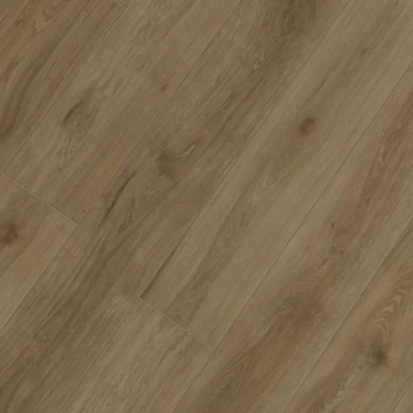 Republic - Alligator COREAL002 - SIDE EYE