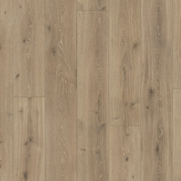 Colección Trendtime - Roble Castell calizo