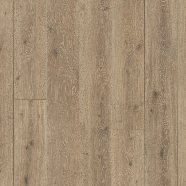 Colección Trendtime - Roble Castell calizo