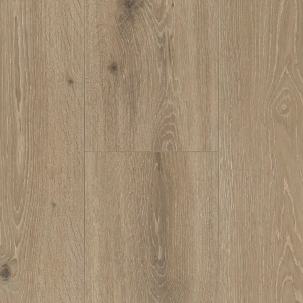 Colección Trendtime - Roble Castell calizo