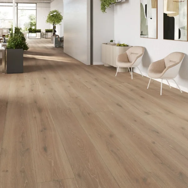 Colección Trendtime - Roble Castell calizo