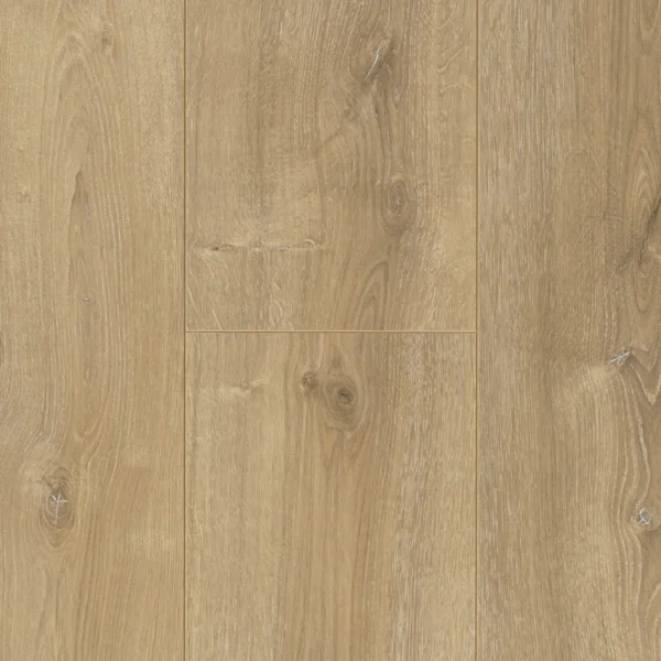 Colección Trendtime - Roble Nova calizo