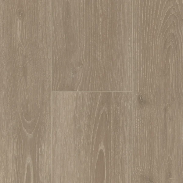 Colección Trendtime - Roble Skyline gris perla